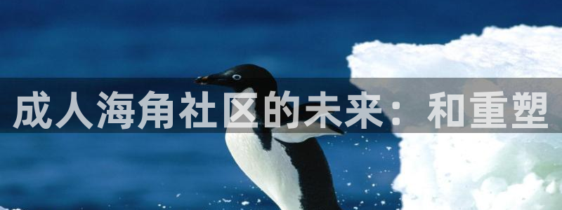 海角社区粉丝：成人海角社区的未来：和重塑