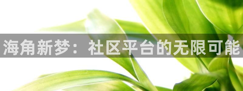 举报海角社区:海角新梦:社区平台的无限可能