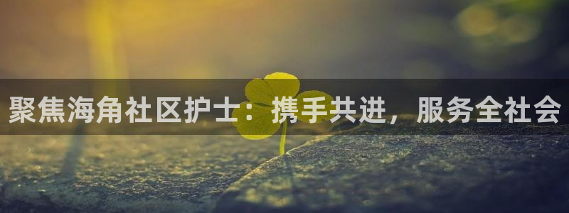 海角1社区：聚焦海角社区护士：携手共进，服务全社会