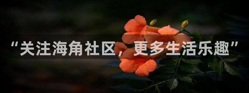 hj4bb海角社区：“关注海角社区，更多生活乐趣”