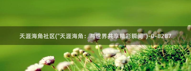 海角社区安装包：天涯海角社区(\