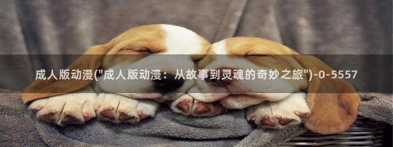 耽美动漫