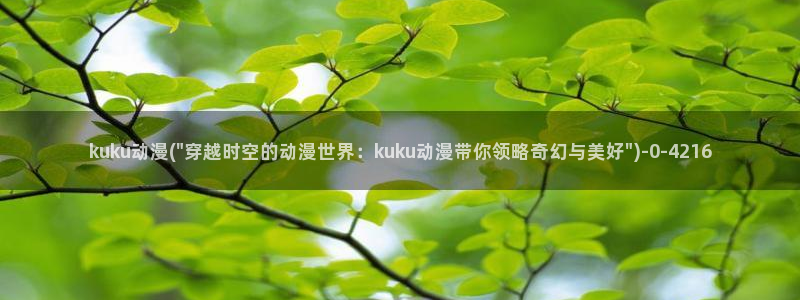 动漫小说