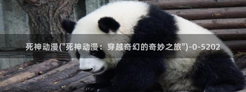 高h动漫