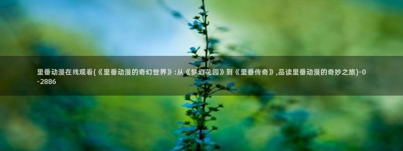 动漫岛