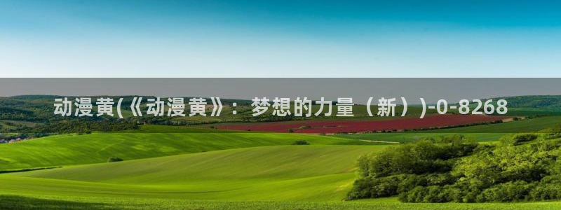海贼王动漫